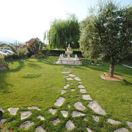 Il Salice-2